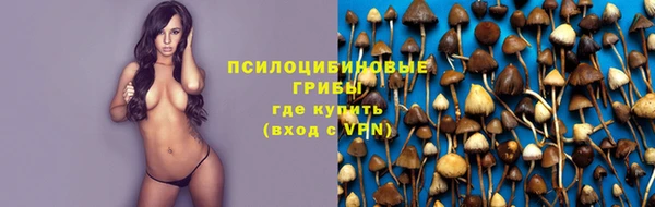 амф Горнозаводск