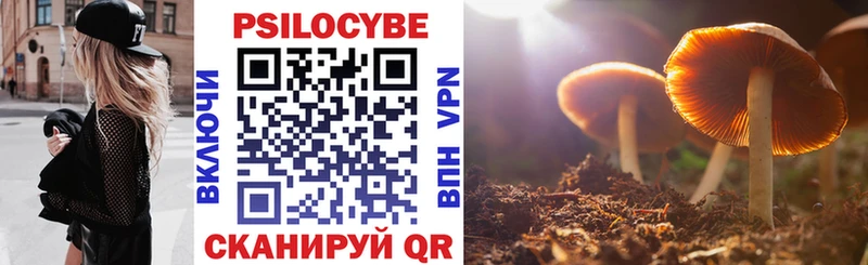 Галлюциногенные грибы мицелий  Купить где  Ковдор 
